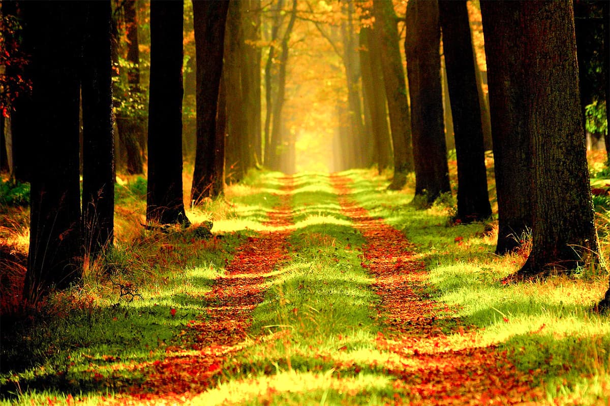 一連の話が全てに芯があり、人としてブレていないか？