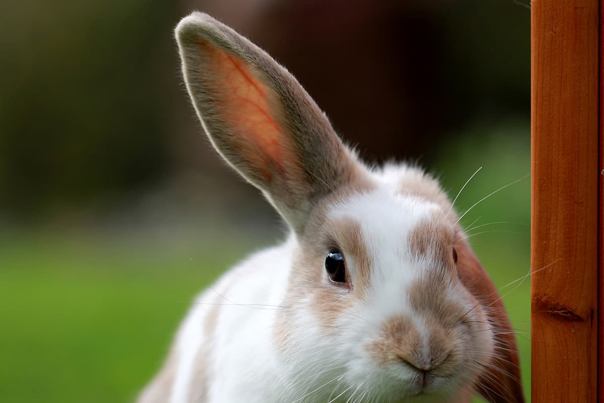 「ヒアリング能力からの想像力」があれば、個性がなくても「再現性を高められる」。それは最大の武器になる。