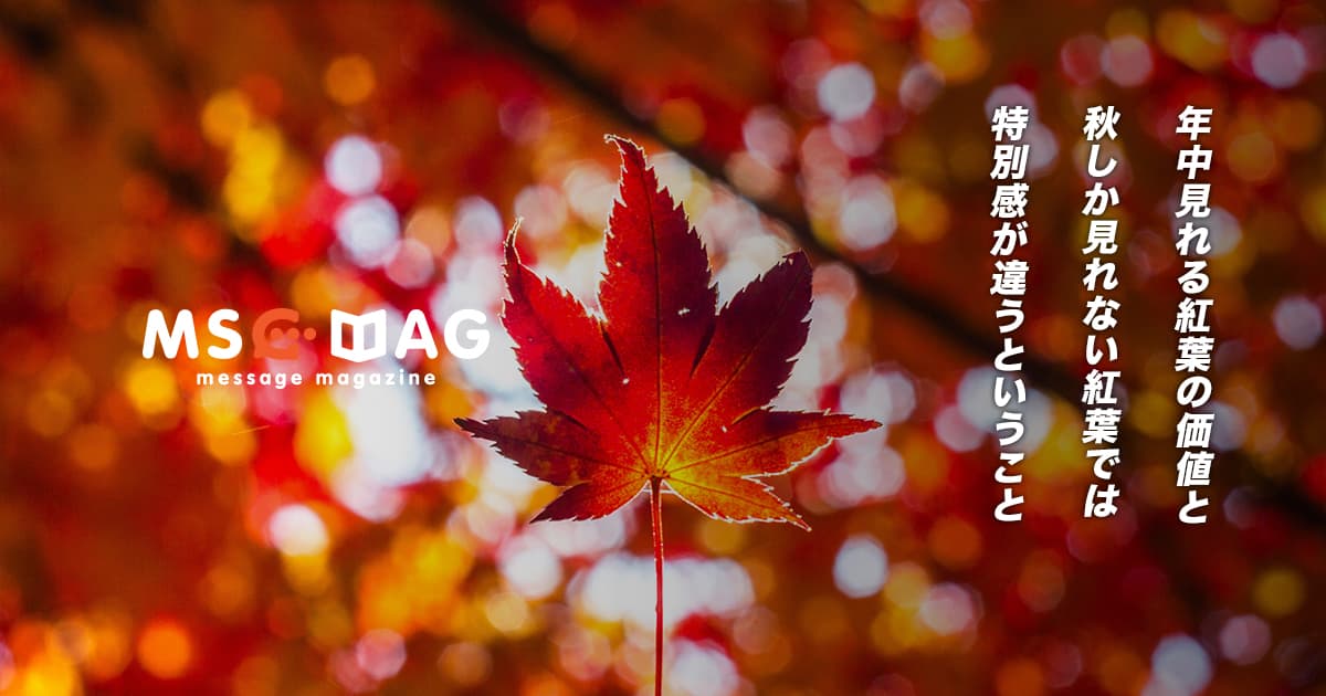 限定感を出すことでドキドキ感が増すことを上手く活用する。