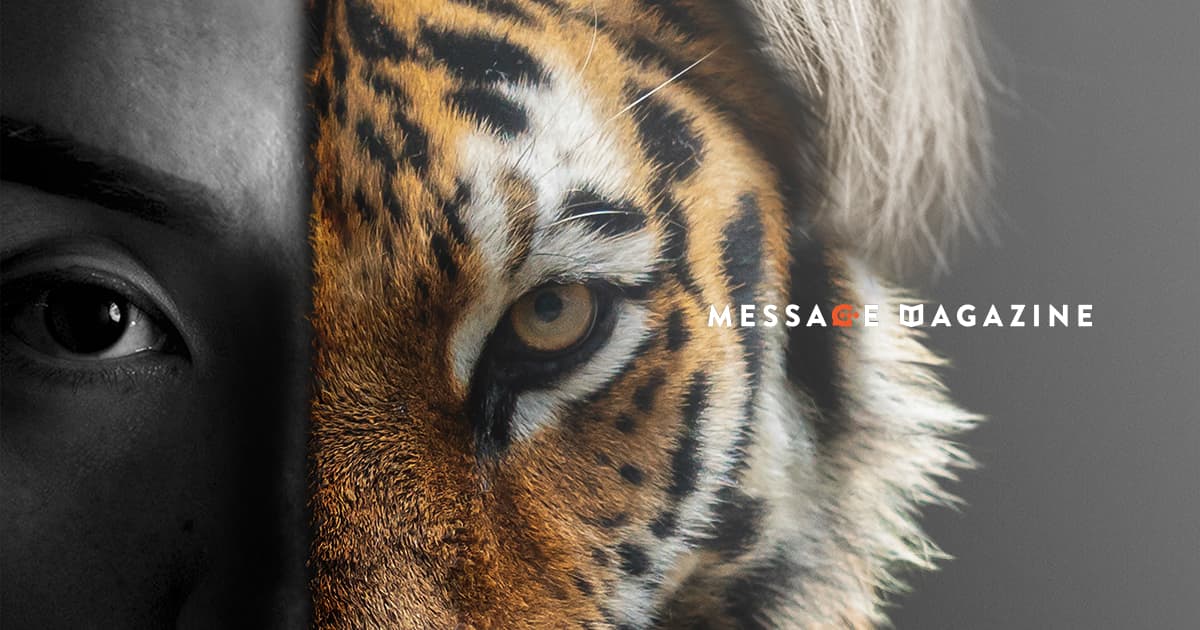 2022年、明けましておめでとうございます。