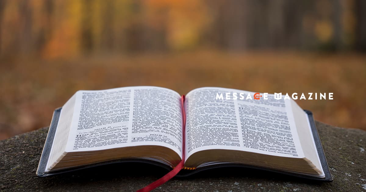 感想を聞かせて欲しいとのことで、久しぶりにガッツリ本を読んでみた。