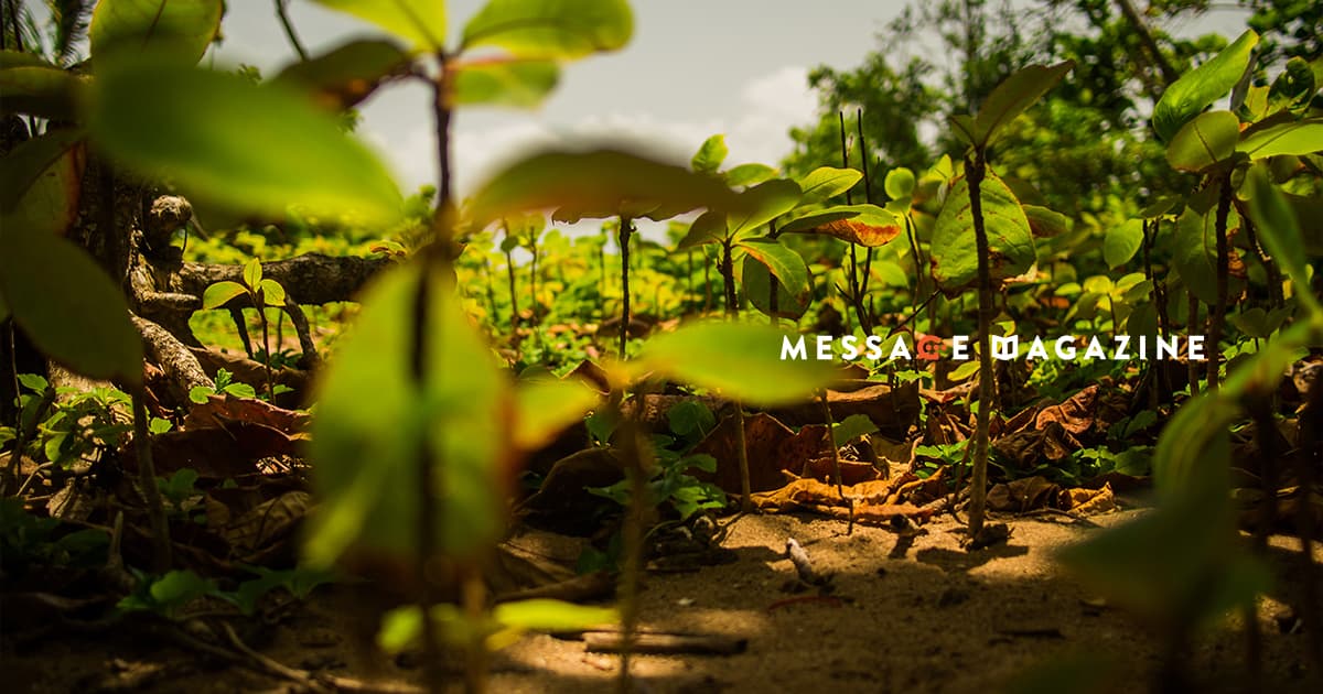 自分の地盤を固めるタイミングを見極めることの重要性。