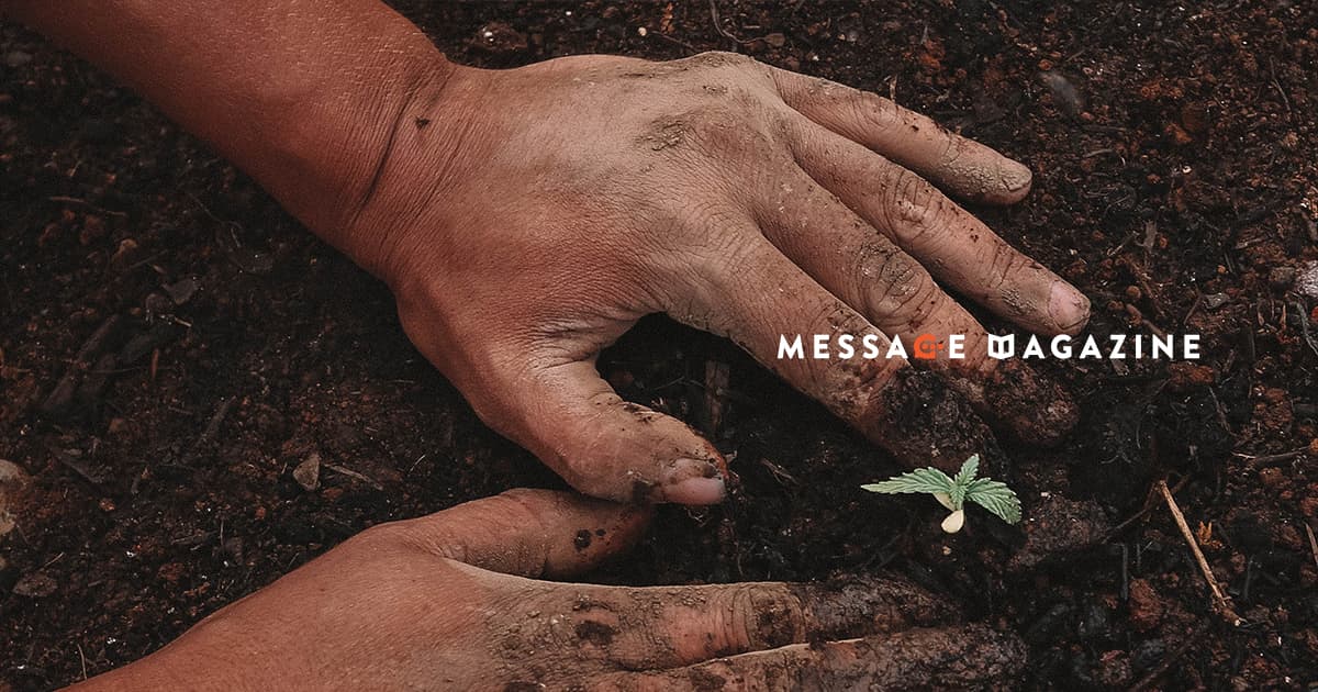 フリーランスの僕らがやるべきことは収穫ではなく種を植え続ける作業。