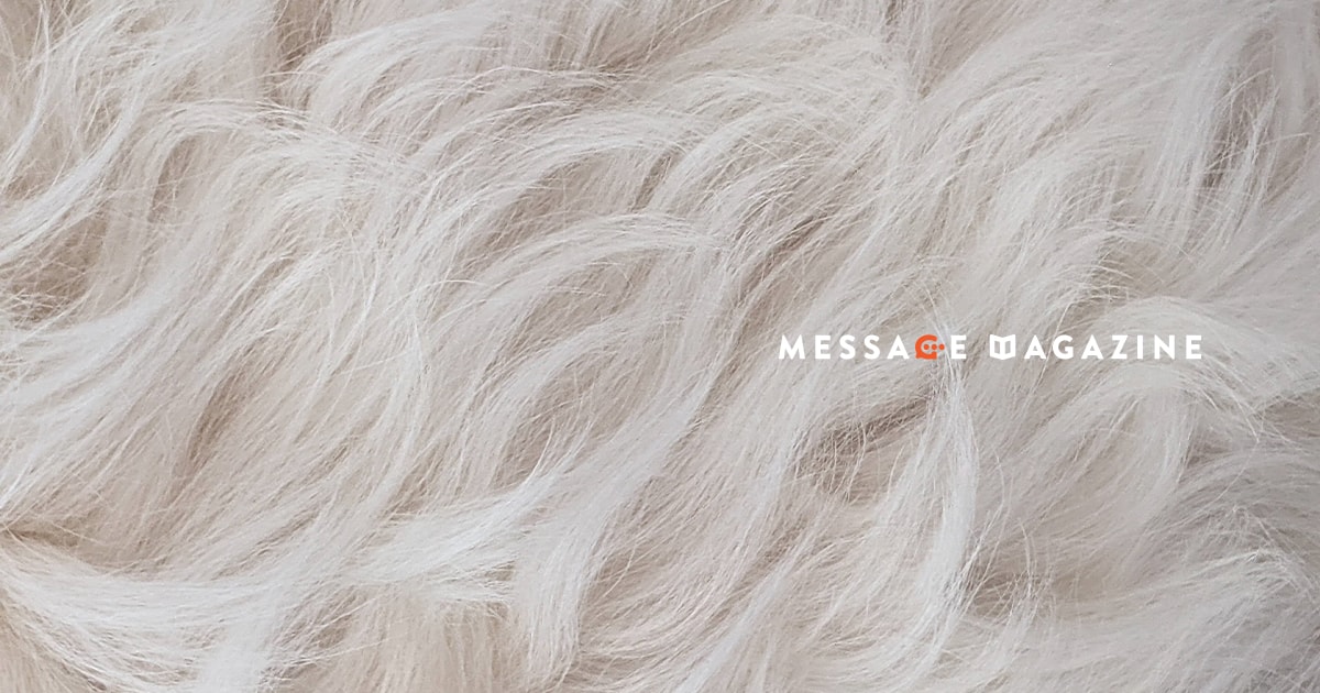 金髪短パン姿で訪問した企業さんから即日に継続案件をいただいたお話。