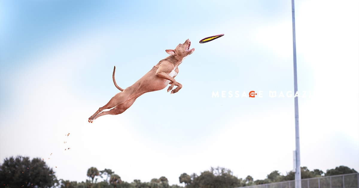 チャンスを掴めるのはチャンスを掴もうという姿勢を見せたからだ。