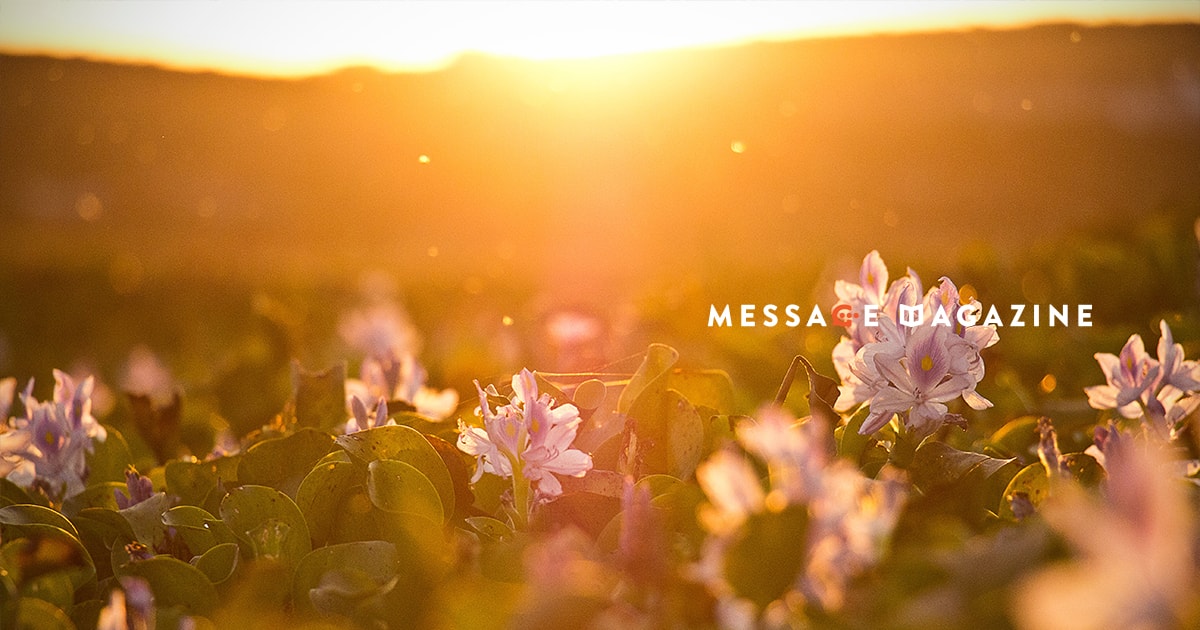 僕のネガティブ思考をポジティブに変える「ハッピーターン理論」について。