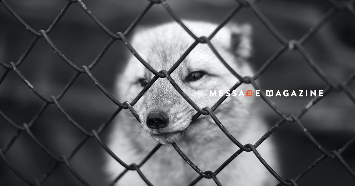 発狂したい気持ちを心の中でタオルを噛み締めて叫ぶ。