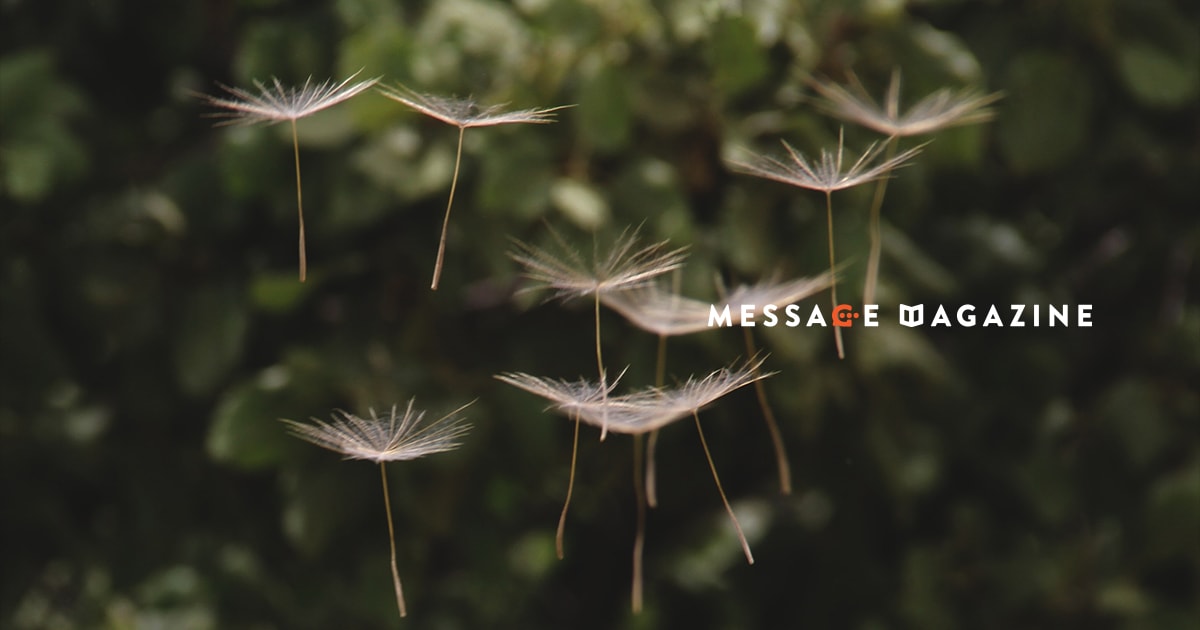 クライアントのピンチを感じた僕が自分の価値を未来に繋げようとした話。