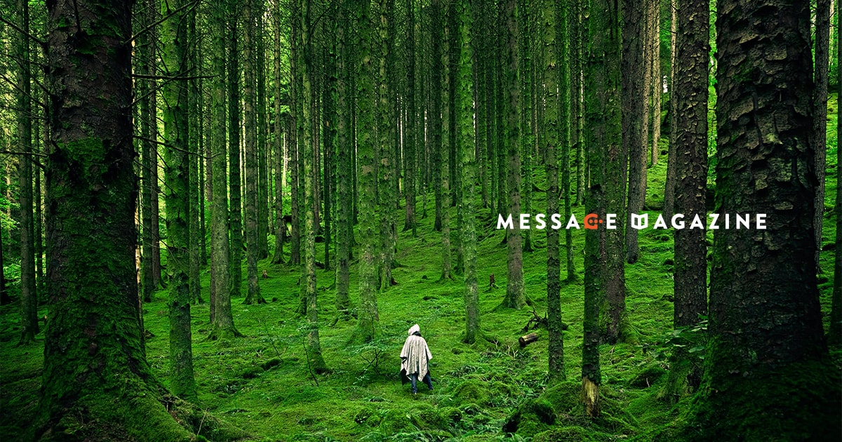 僕は開拓者だということを思い出した日。