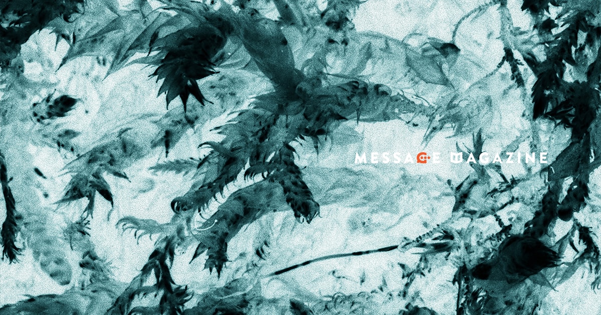 超が付くほどネガティブ思考の僕の頭の中。