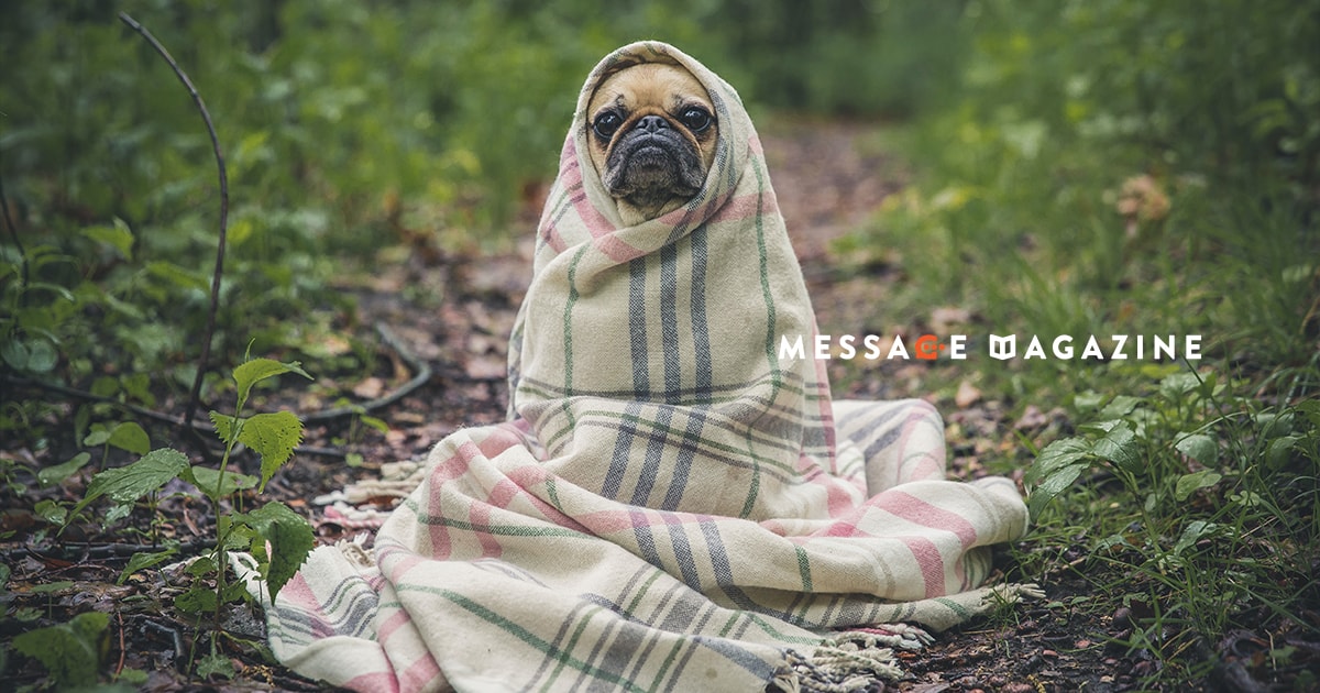 It's been a long time since I've been so unwell that I can't remember the last time.