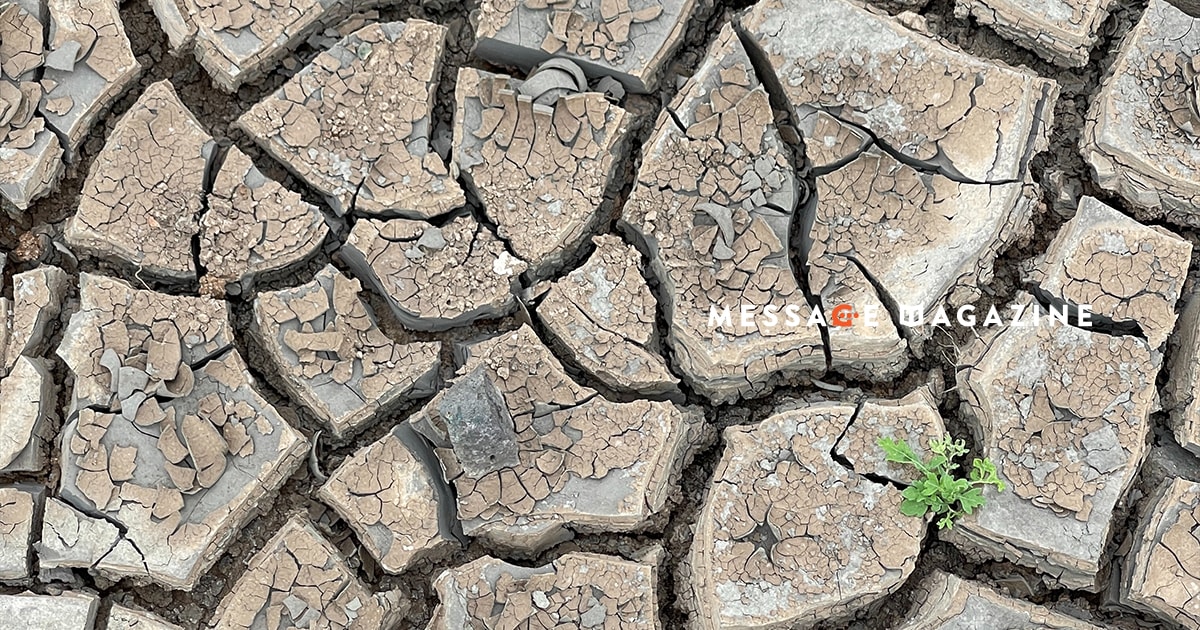 いくら荒れたって良いから前だけ向こうと思った決意。