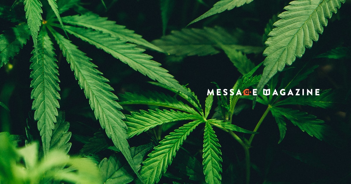 CBDリキッドをメンタル安定を目的に取り入れてみての感想。