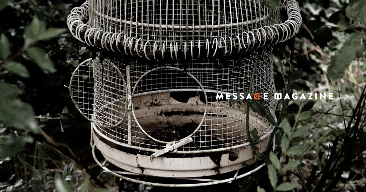 僕を囲おうとしてくれている人からもらう定期的な連絡に思うこと。