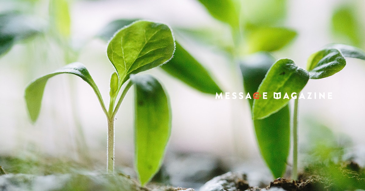 人に任せたら良いのは分かっているけど全部自分でやりたいという衝動と戦って。