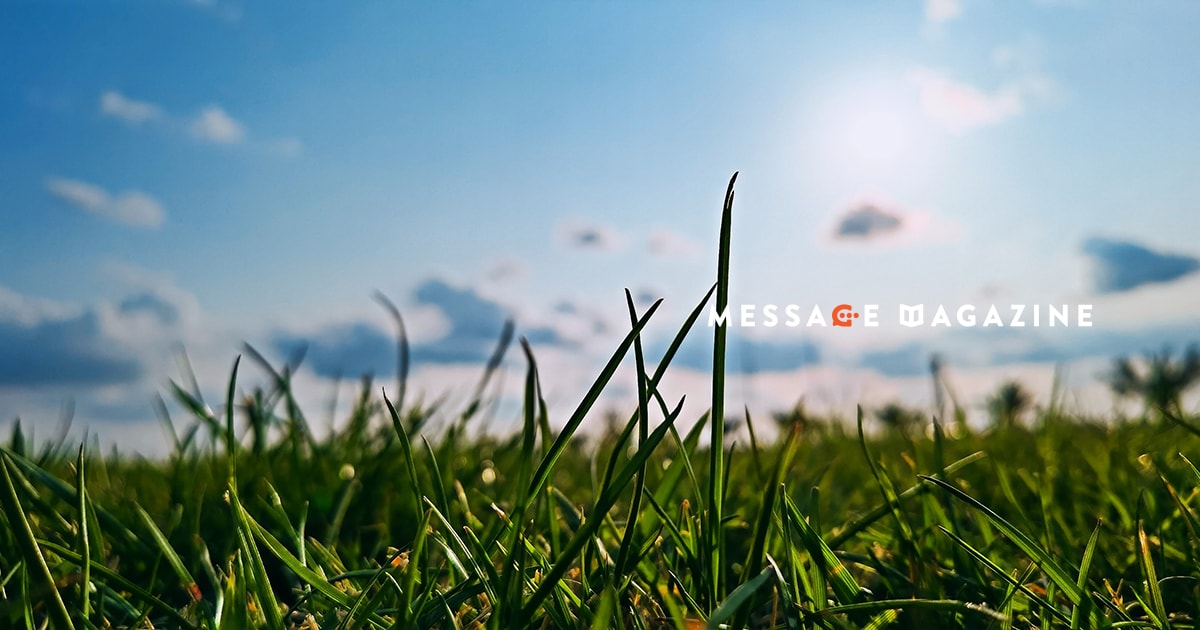 自分自身を商品化するという誰にも論破されない生き様。