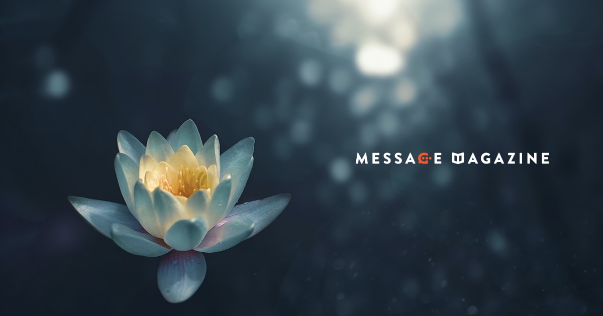 圧倒的な落ち着きを生む要素は現時点での自分自身の知識と経験である。