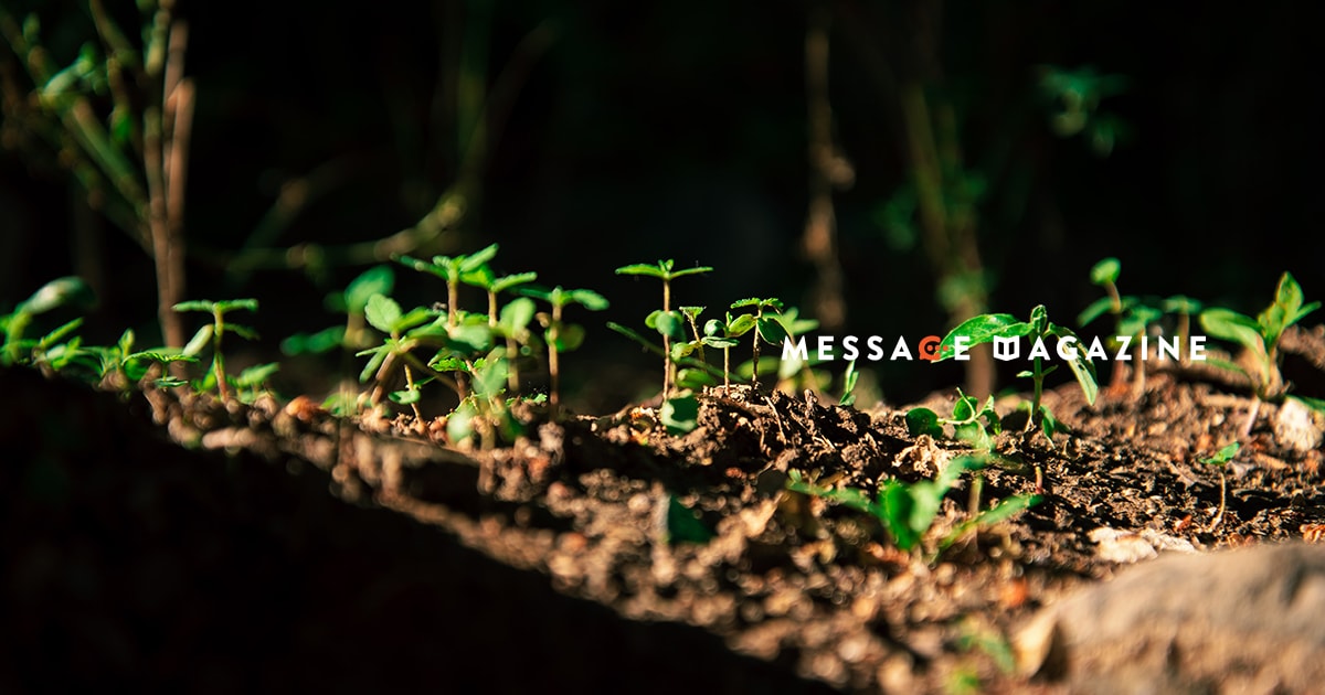 人を育てるというフェーズに足を踏み込んだ僕が歩んだ１ステップ。