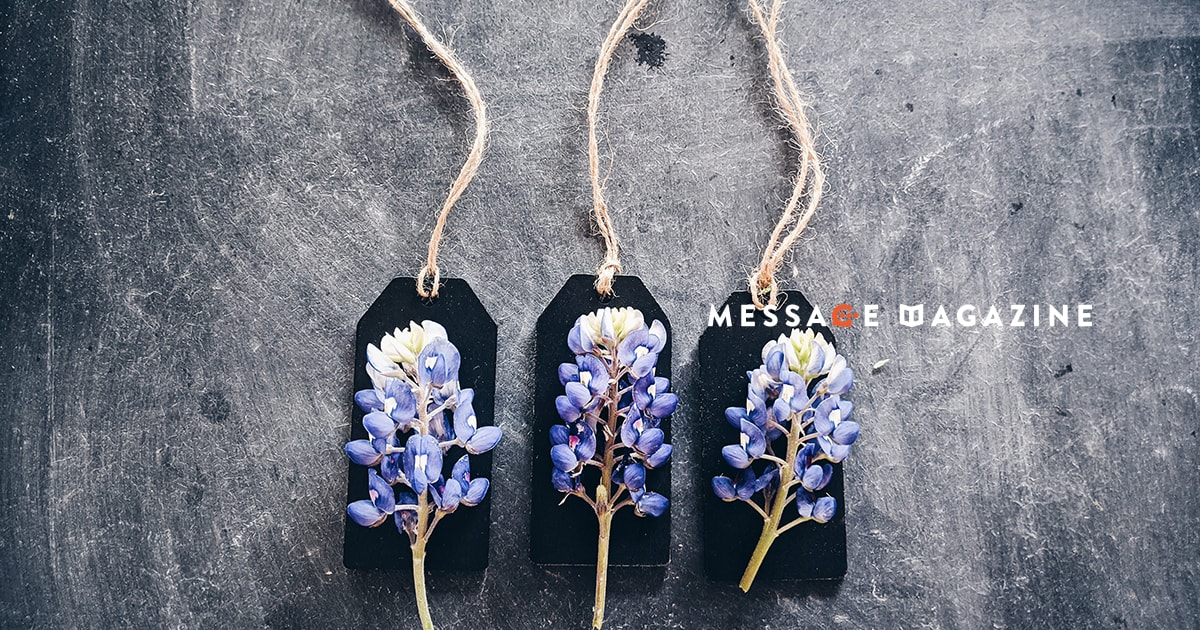 自分の仕事に価格設定をしないからこそ広がる可能性。