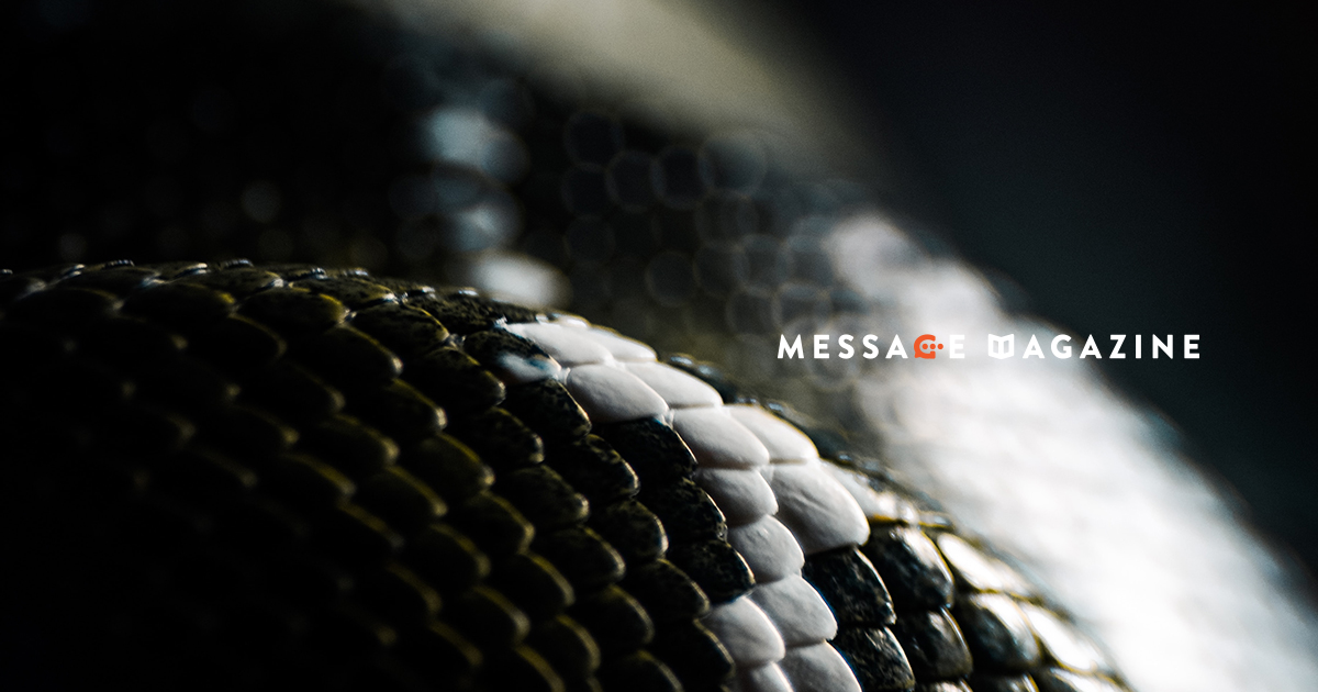 実績のネームバリューが上がって来たことで不要になって来た余計な蛇足達。